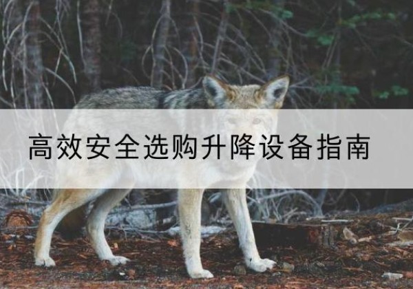 政和升降货梯厂家推荐-*安全选购升降设备指南