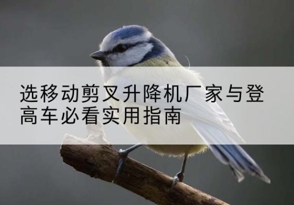 政和电动升降机厂家-选移动剪叉升降机厂家与登高车必看实用指南