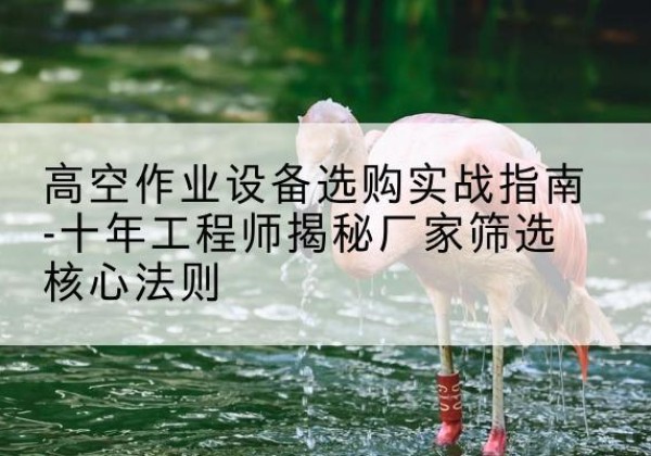 政和剪叉式升降机厂家-高空作业设备选购实战指南-十年工程师揭秘厂家筛选核心法则